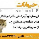 دامپزشکی ونک