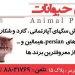 دامپزشکی ونک