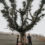 آتلیه تخصصی عروس سپنتا