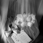 آتلیه تخصصی عروس سپنتا