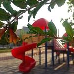 پارک آزادی