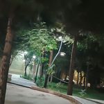 پارک آزادی