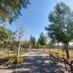 بوستان بدر
