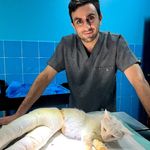 کلینیک دامپزشکی جانا