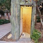 سرویس بهداشتی