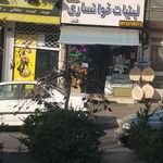 لبنیات سنتی خوانساری