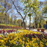 پارک قیطریه (بوستان قیطریه)