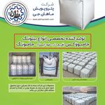 پترو پویش ماهان جی