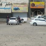 صافکاری رضا