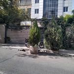 دکتر مجتبی جزایری