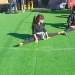 هنرهای رزمی نینجوتسو