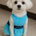 پت شاپ پانتی پت