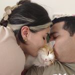 مهسا گل محمدی