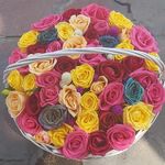 گل طلای سبز