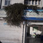 آموزشگاه زبان های خارجی دانشفر