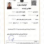 سید امیرحسین ثامنی