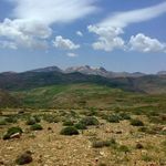 منطقه شکار ممنوع شاه جهان