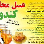 عسل محلی کندو