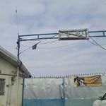 سازمان آتش نشانی وخدمات ایمنی