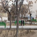 بوستان ایلیا