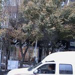 فرش تهران