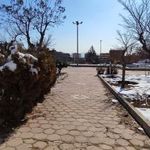 بوستان دیبا