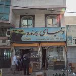 دنیای پرنده