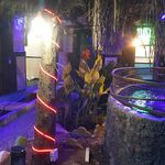 رستوران ماهی (کلبه ماهی)