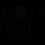 آموزشگاه موسیقی دکتر پدرام امینی