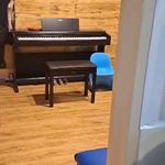 آموزشگاه موسیقی دکتر پدرام امینی