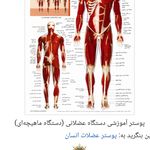 رویال ماساژ