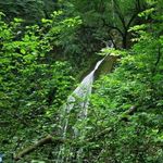 آبشار اسفجیر