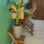 کافی پارس نمایندگی منظریه
