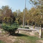 سرویس بهداشتی بوستان اسفند 1