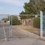 معاینه فنی خودرو