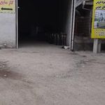 ایزوگام آریا