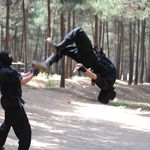 نینجوتسو باشگاه رزمی