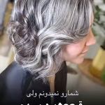 خدمات تخصصی رنگ ولایت