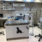 دامپزشکی دکترمحمدرضوانی(آرایشگاه نداریم)