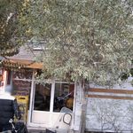 آی تک