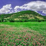 روستای آق اولر