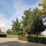 کاخ مروارید (کاخ شمس)