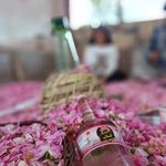گلابگیری سجاد