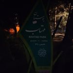گلدانی