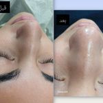 خدمات آموزش ،پاکسازی و فیشال روژین سرحدی