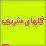 پیش دبستان و دبستان دخترانه گلهای شریف