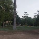 پارک لاله