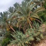 پست بانک فاریاب