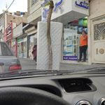 تشک مورن