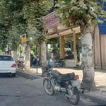 قنادی احمدی پناه